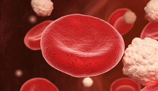 Sm Antibody