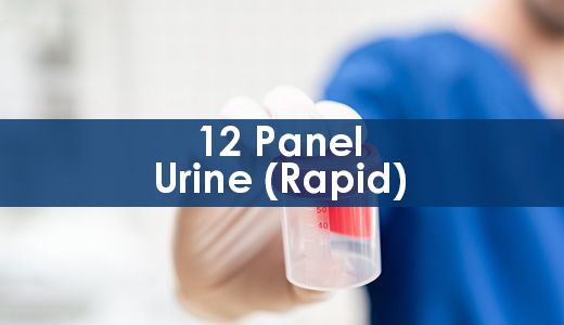 Drug Test – 12 Panel Urine (Rapid)