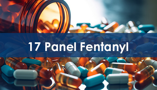 Drug Test – 17 Panel w/ ‘Fent Drug’