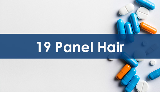 Drug Test – 19 Panel Hair