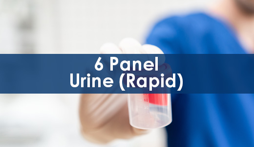 Drug Test – 6 Panel Urine (Rapid)