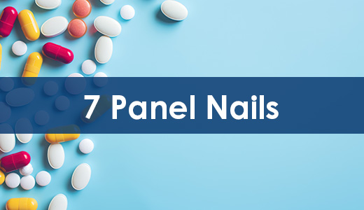 Drug Test – 7 Panel Nail