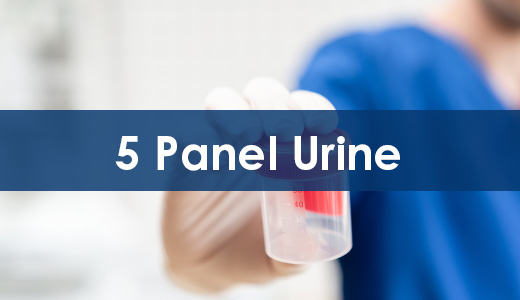 5 Panel Urine