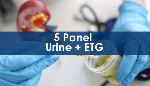 5 Panel Urine + 6AM + BUP + Fentanyl + ETG