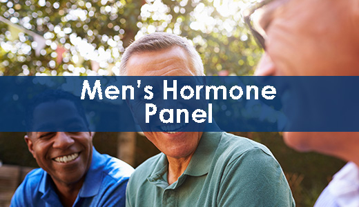 Men’s Hormone Panel